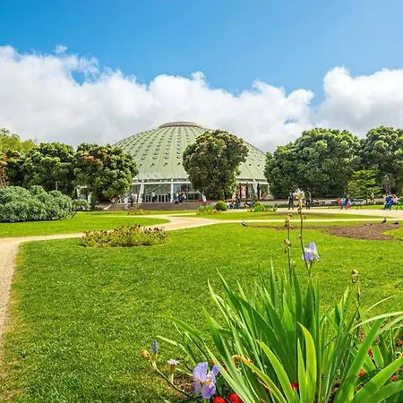 Bombarda Vi By Innkeeper