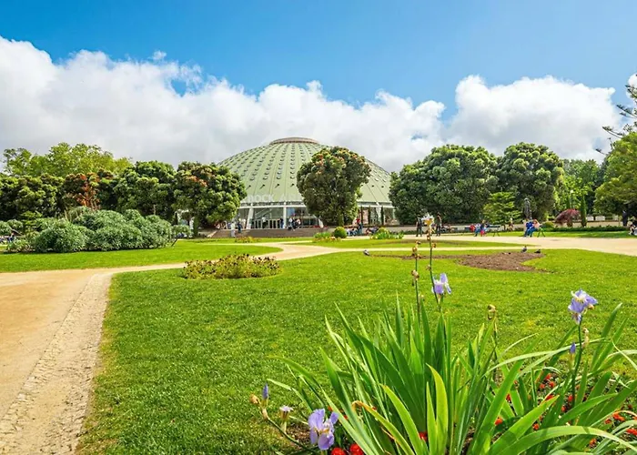 Bombarda Vi By Innkeeper